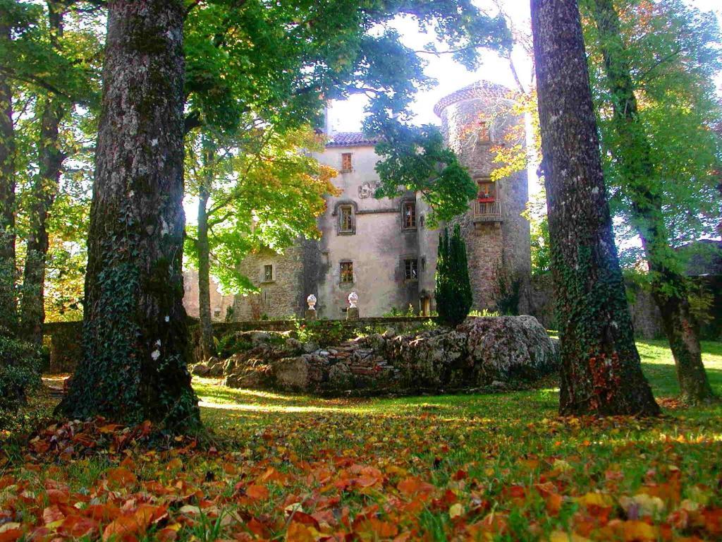 Chateau Du Cros Le Cros エクステリア 写真