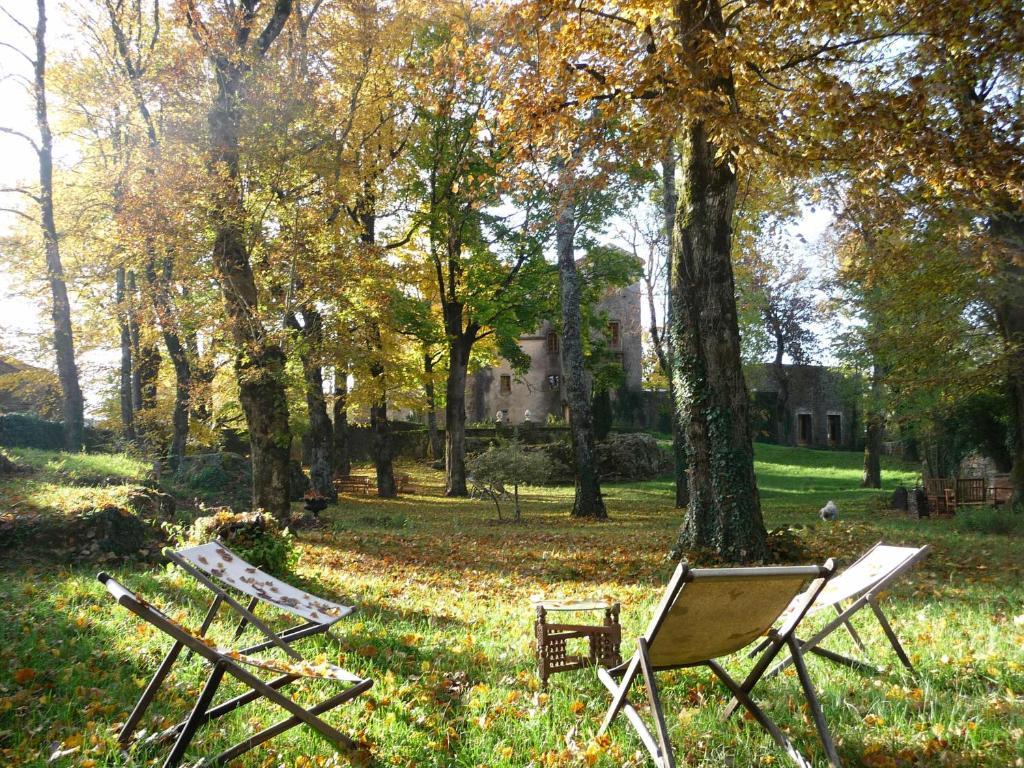 Chateau Du Cros Le Cros エクステリア 写真